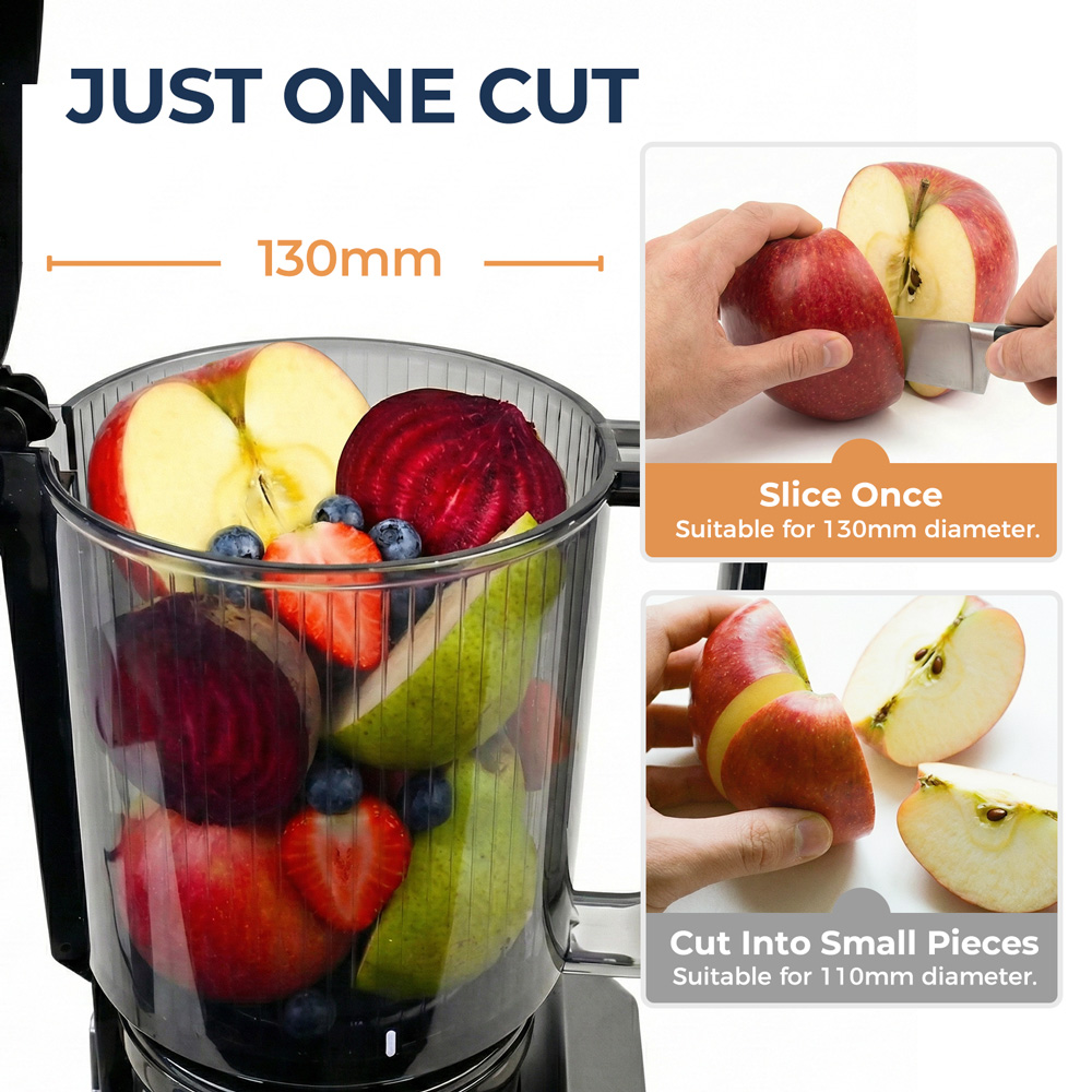 Estrattore a Freddo ROUNY con  - Electric Slow Juicer Cold Press recensione e prezzo